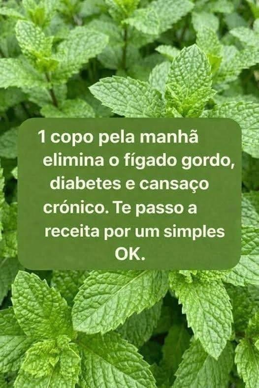 Um copo pela manhã de Hortelã Fresca