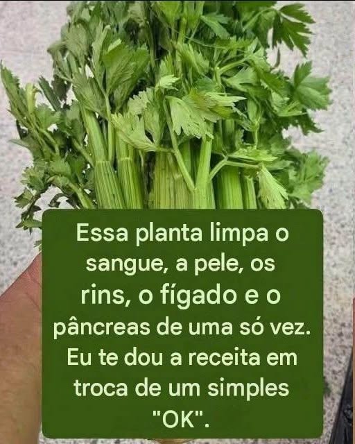 Suco de Ora-Pro-Nóbis